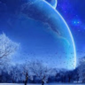 Meet your Posher, Timothy